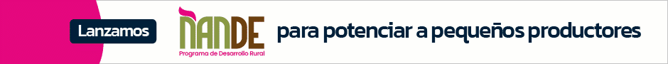 spot_img