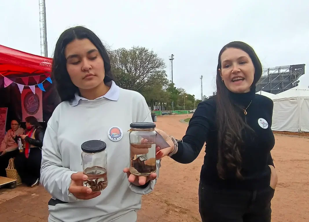 La Bienal 2026 suma propuestas educativas para toda la comunidad