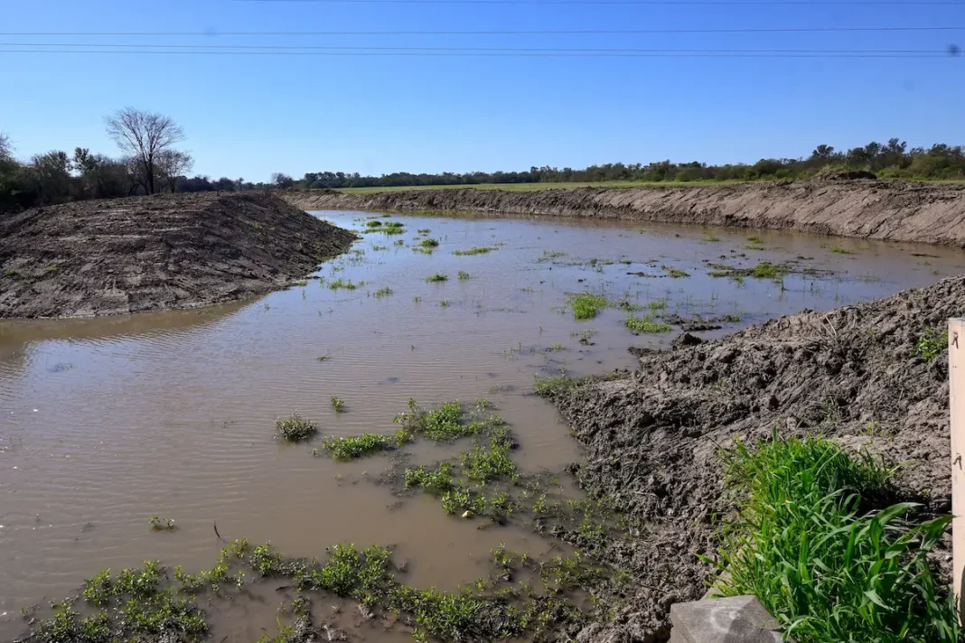 Limpian el canal Río Muerto-Las Colonias para mejorar el escurrimiento